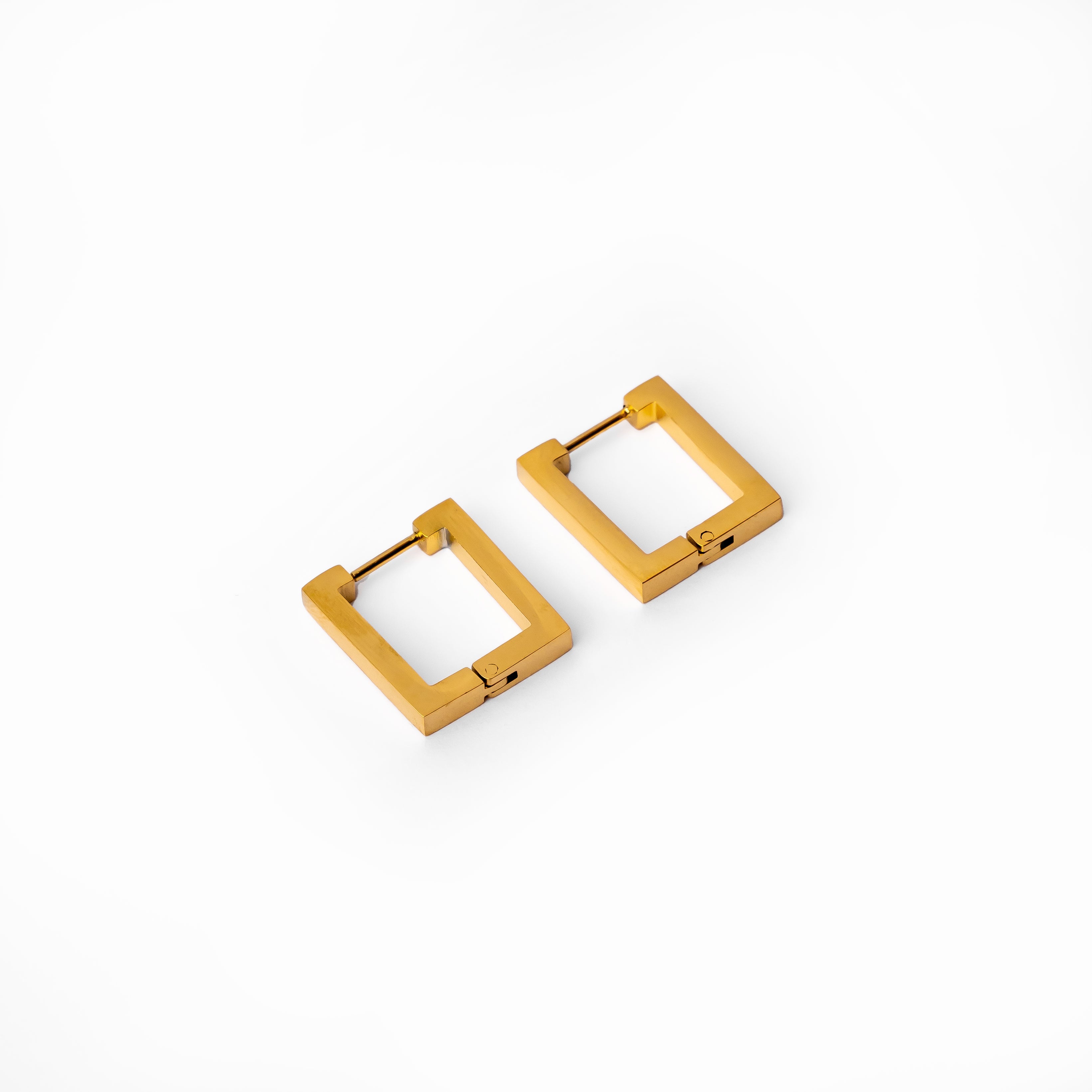 18K Gold Clara Earrings