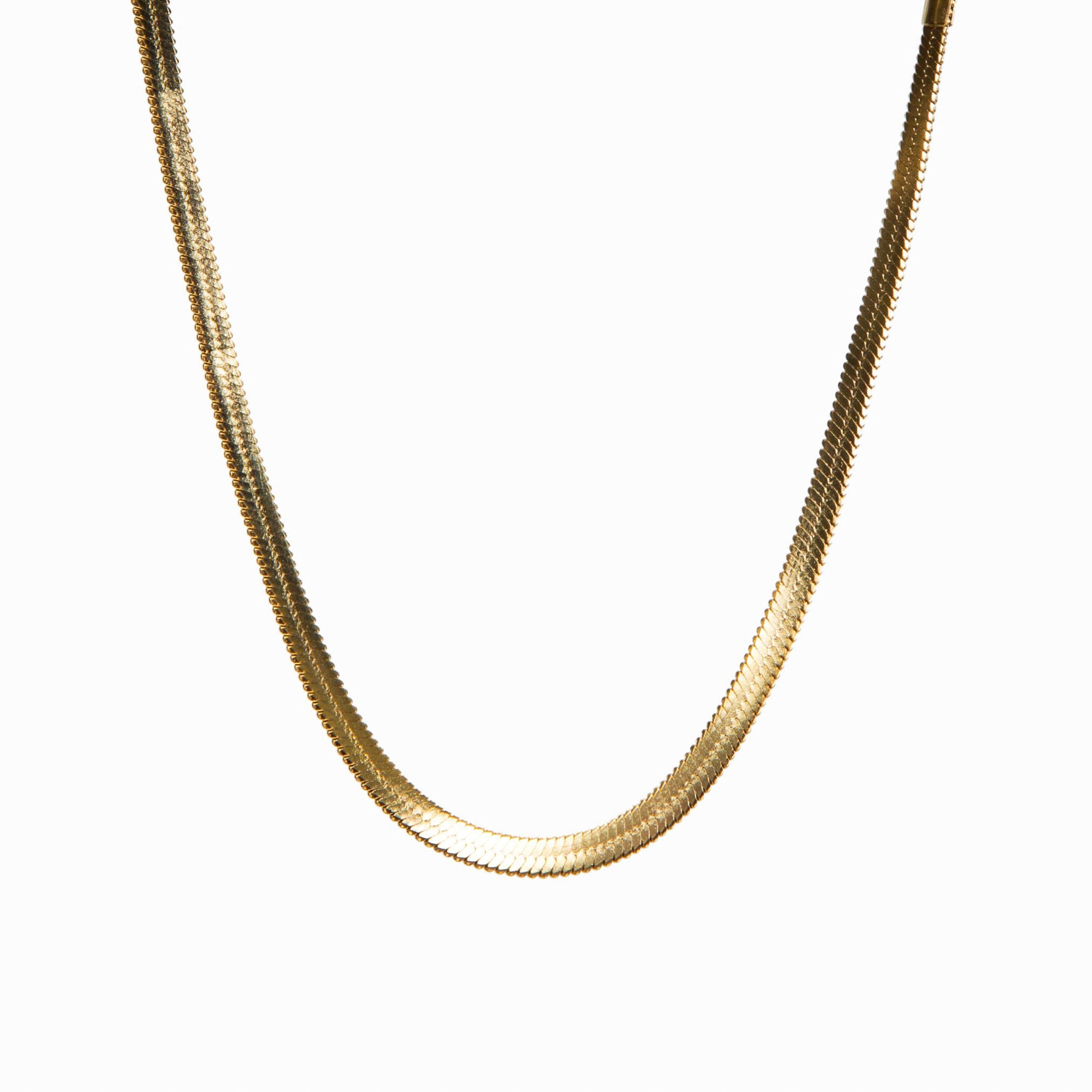 A gold-colored snake chain necklace with a clasp, displayed against a white background.